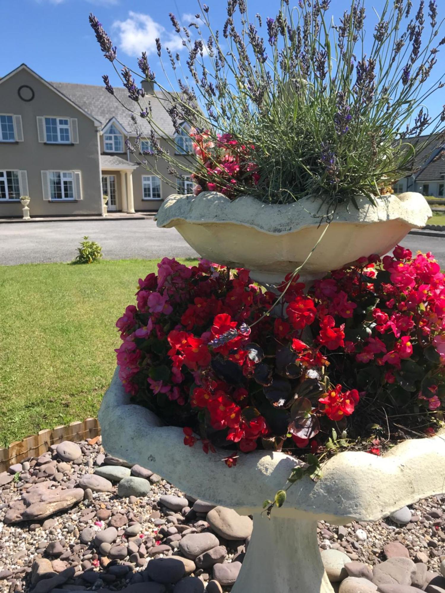 Kielty'S Of Kerry Bed And Breakfast 워터빌 외부 사진